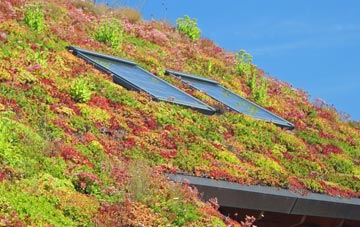 Tewkesbury living roof systems